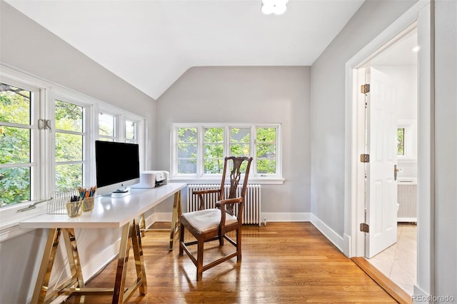 home office featuring radiator, light hardwood / wood-style floors, lofted ceiling, and a wealth of natural light