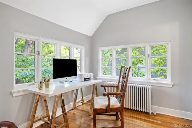 141 N Gilpin St, Denver, CO 80218 - office with radiator heating unit, lofted ceiling, and wood finished floors