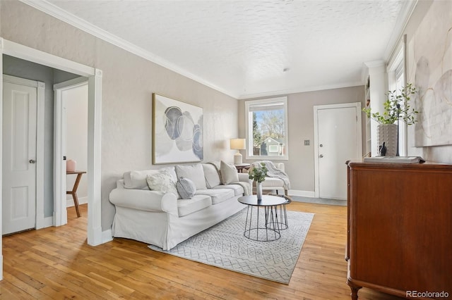 4883 Perry St, Denver, CO 80212 - living area featuring light wood-type flooring, crown molding, and a textured ceiling