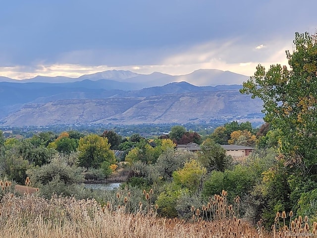 view of mountain feature