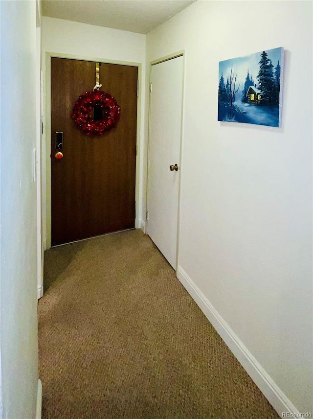 hallway with carpet floors