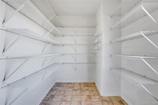 view of spacious closet