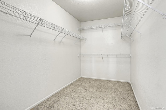 spacious closet with carpet flooring