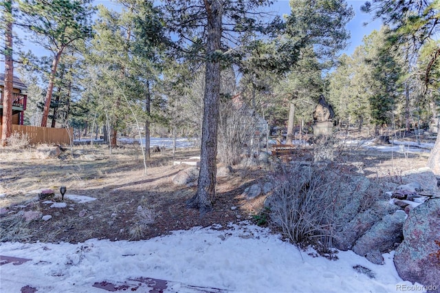 view of snowy yard