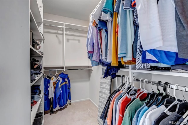 5075 Weeping Willow Cir, Highlands Ranch, CO 80130 - spacious closet featuring carpet floors