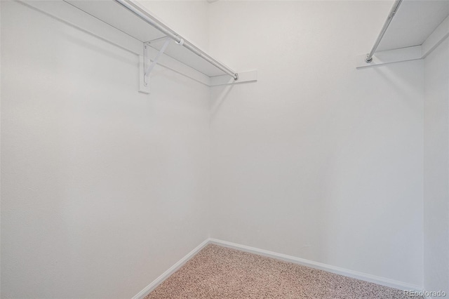 walk in closet featuring carpet