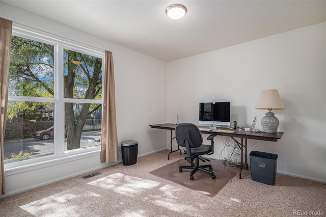 carpeted office space featuring a healthy amount of sunlight