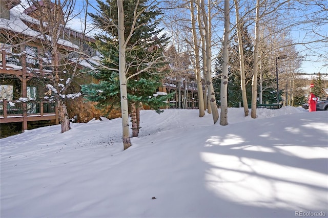 view of snowy yard