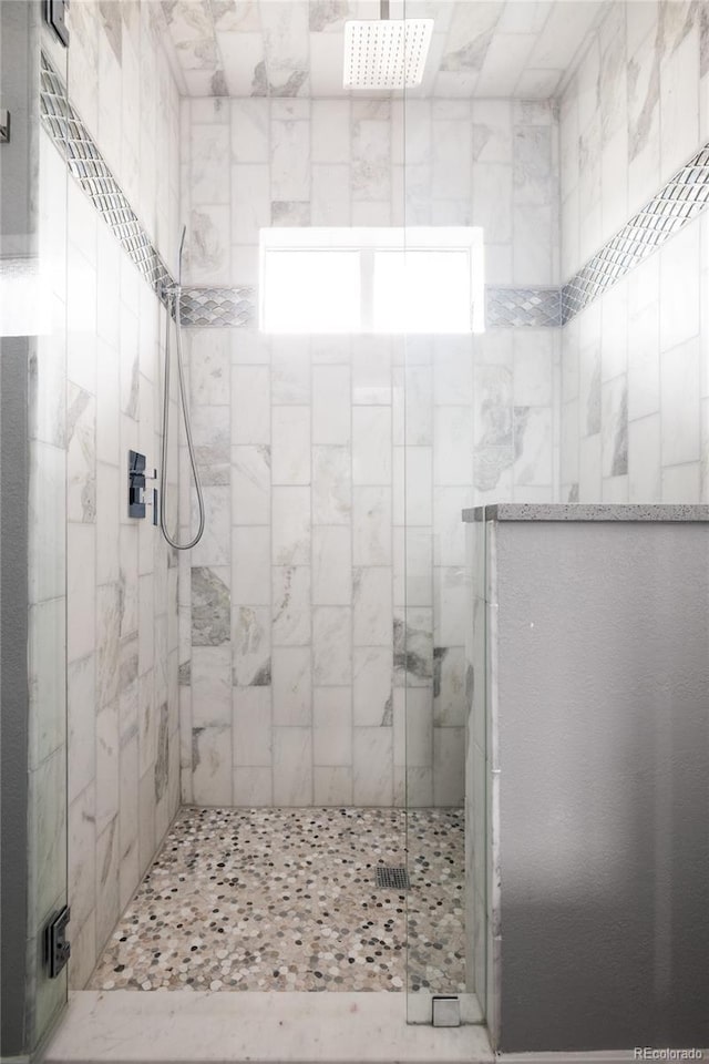 3473 Beeler St, Denver, CO 80238 - full bath with a stall shower