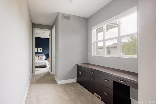 3473 Beeler St, Denver, CO 80238 - hallway with light colored carpet and baseboards