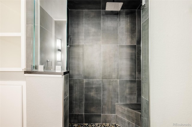 3473 Beeler St, Denver, CO 80238 - full bathroom with a tile shower