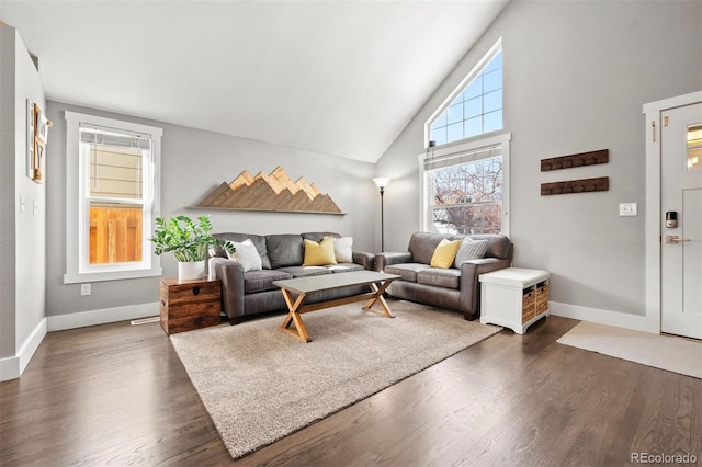 living room featuring high vaulted ceiling and dark wood-type flooring