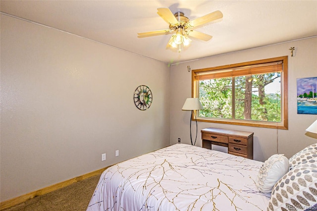 281 Sunset Ln, Cripple Creek, CO 80813 - photo 26