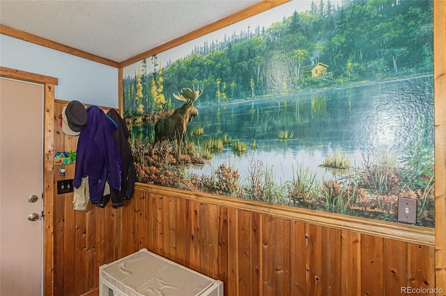 281 Sunset Ln, Cripple Creek, CO 80813 - photo 29