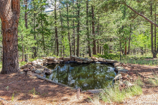 281 Sunset Ln, Cripple Creek, CO 80813 - photo 35