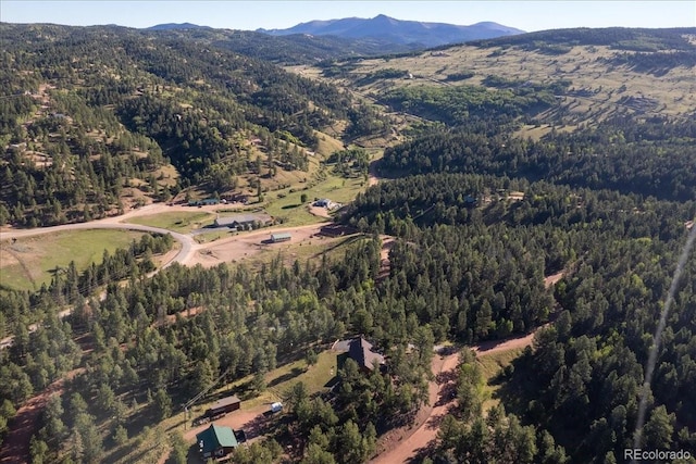 281 Sunset Ln, Cripple Creek, CO 80813 - photo 42