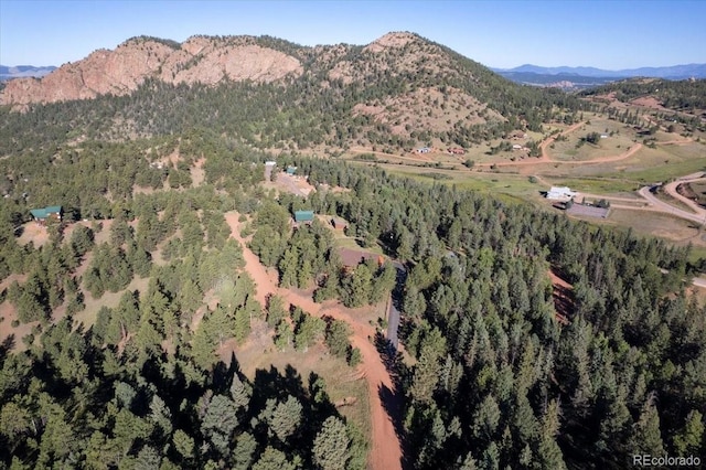 281 Sunset Ln, Cripple Creek, CO 80813 - photo 43