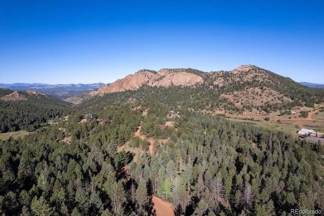 281 Sunset Ln, Cripple Creek, CO 80813 - photo 44
