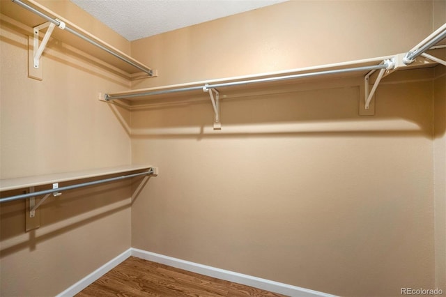 spacious closet with hardwood / wood-style floors