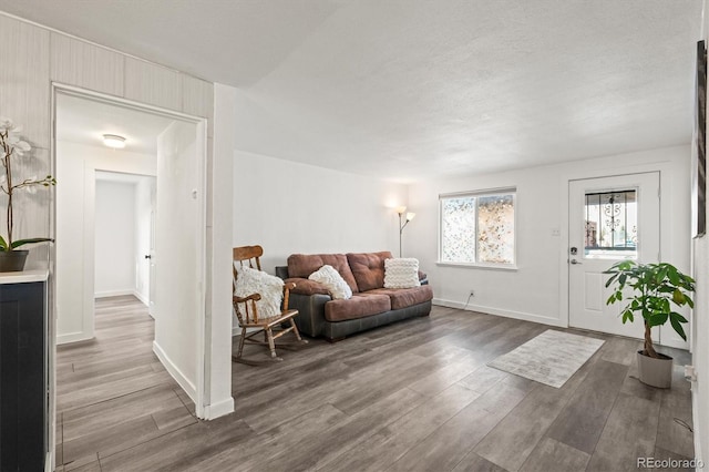 living room with hardwood / wood-style flooring and a textured ceiling