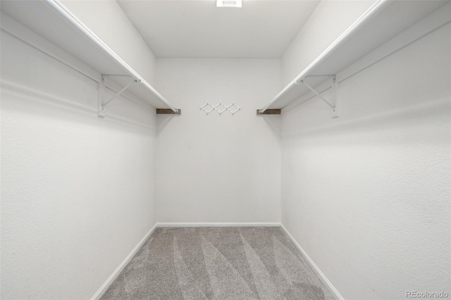 walk in closet with carpet flooring