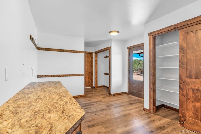 573 Beasley Blvd, Cotopaxi, CO 81223 - entrance foyer featuring light wood finished floors