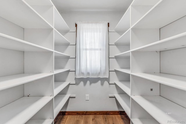 573 Beasley Blvd, Cotopaxi, CO 81223 - view of storage area
