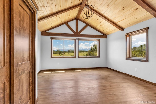 573 Beasley Blvd, Cotopaxi, CO 81223 - spare room featuring healthy amount of natural light, wooden ceiling, and wood finished floors