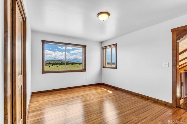 573 Beasley Blvd, Cotopaxi, CO 81223 - spare room featuring plenty of natural light and light wood-style floors