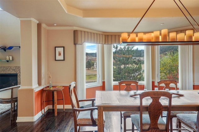 dining area with crown molding, dark hardwood / wood-style flooring, and a fireplace