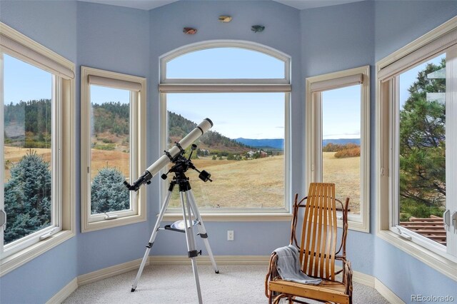 4517 Tallyrand Cir, Castle Rock, CO 80104 - photo 21