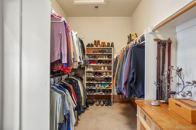 spacious closet featuring carpet