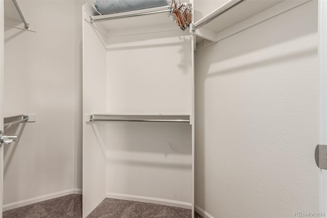 3805 N Himalaya Rd Unit 1, Denver, CO 80249 - spacious closet with carpet flooring and a chandelier