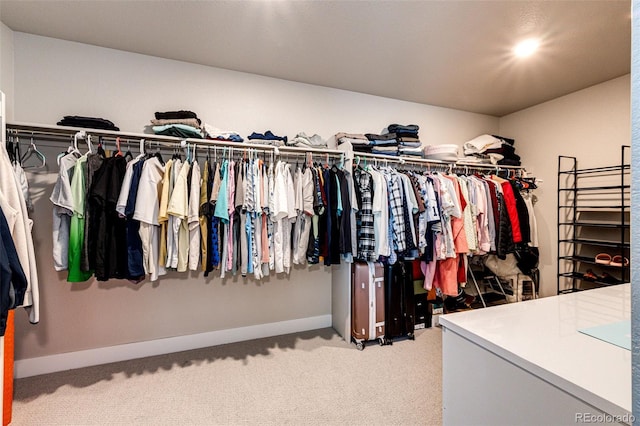 3722 Sandy Vista Trl, Castle Rock, CO 80104 - spacious closet with carpet