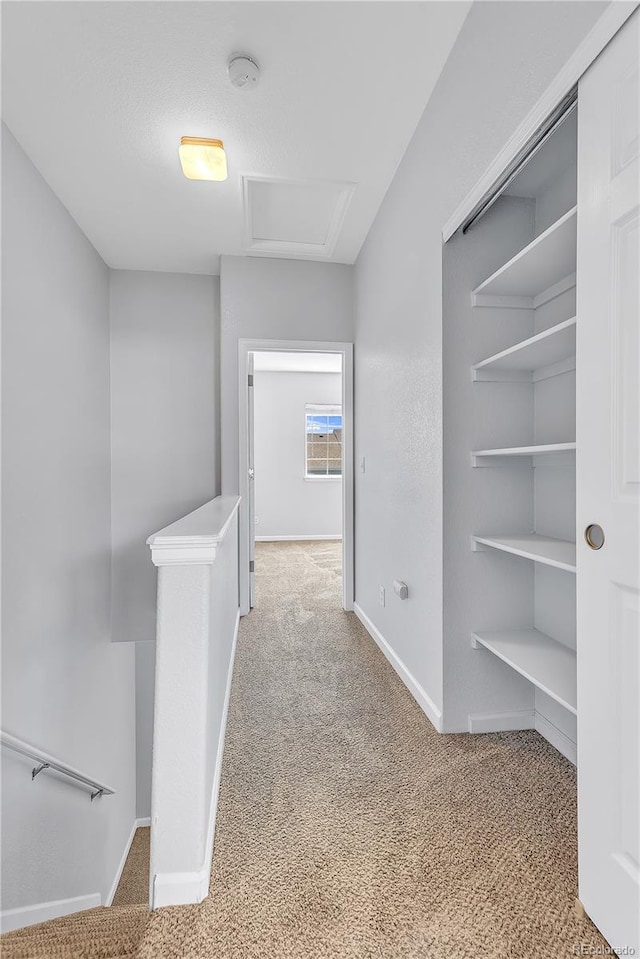8199 Welby Rd Unit 3102, Denver, CO 80229 - photo 17
