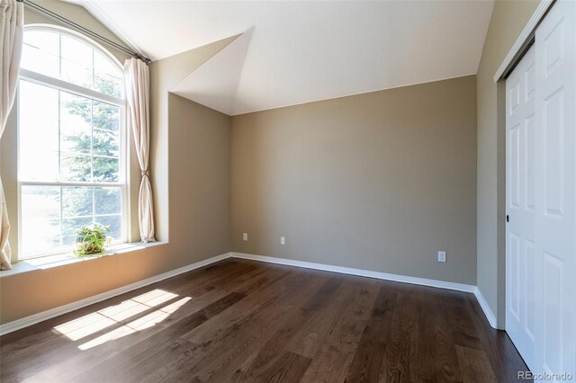 24733 E Park Crescent Dr, Aurora, CO 80016 - bonus room with vaulted ceiling and dark wood finished floors