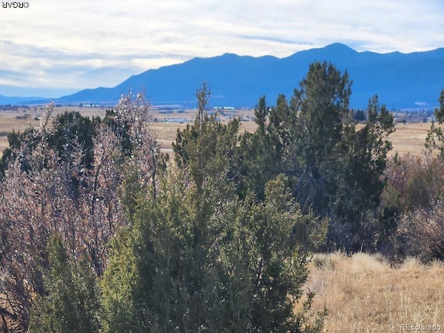 Listing photo 2 for LOT413 Fairplay Pl, Colorado City CO 81019