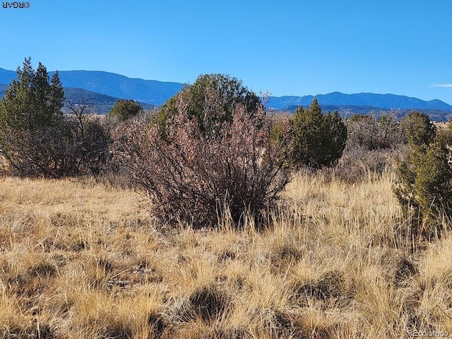 Listing photo 3 for LOT413 Fairplay Pl, Colorado City CO 81019