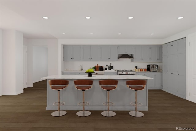 kitchen featuring a center island, sink, and dark hardwood / wood-style floors