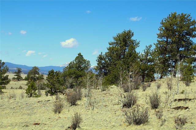 4875 Anadarko, Hartsel, CO 80449 - photo 2