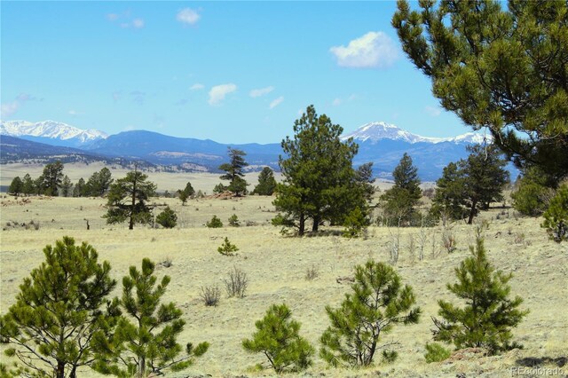 4875 Anadarko, Hartsel, CO 80449 - photo 3