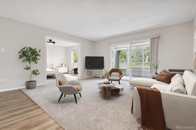 living room featuring a textured ceiling and hardwood / wood-style floors