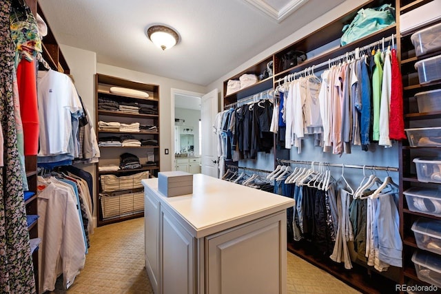 10468 Ladera Dr, Lone Tree, CO 80124 - view of spacious closet