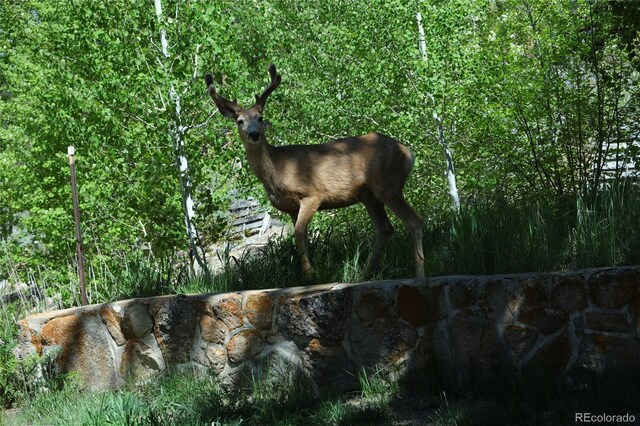 1229 Gcr 64, Grand Lake, CO 80447 - photo 14