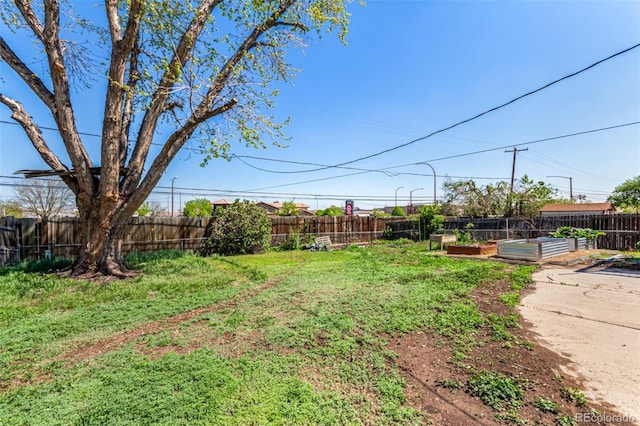1081 E 119th Pl, Northglenn, CO 80233 - fenced backyard featuring a garden