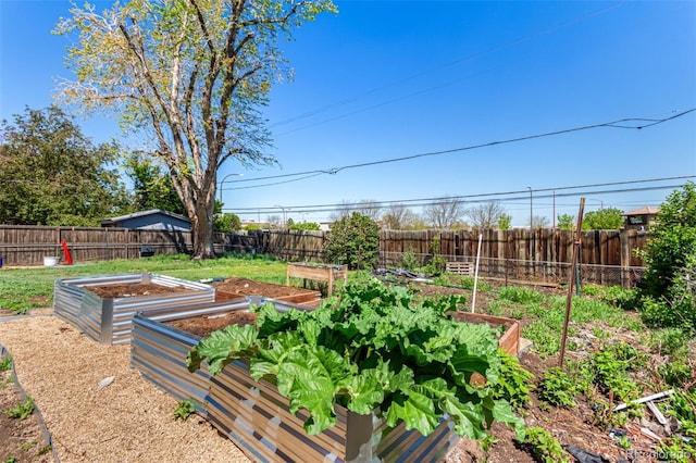 1081 E 119th Pl, Northglenn, CO 80233 - fenced backyard with a vegetable garden
