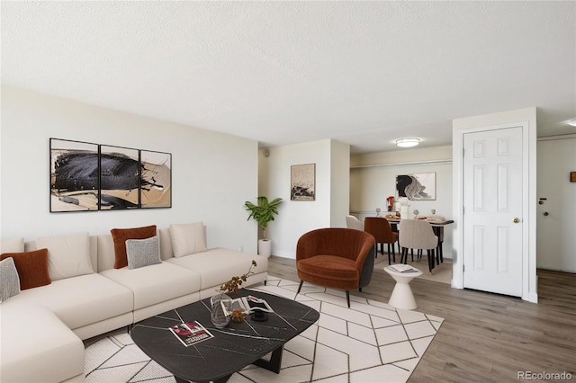 1155 N Ash St Unit 1204, Denver, CO 80220 - living area with wood finished floors and a textured ceiling