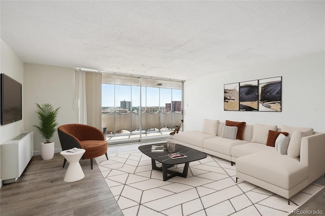 1155 N Ash St Unit 1204, Denver, CO 80220 - living room with light wood-style floors and a textured ceiling