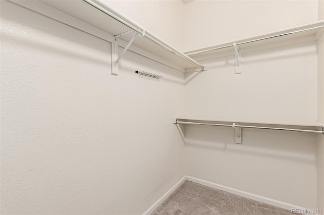 spacious closet with carpet flooring
