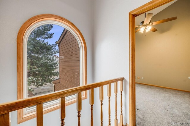 163 Ward Ct, Lakewood, CO 80228 - corridor with carpet floors and baseboards
